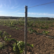 Poste de Viña Galvanizado EREX de Biekapa